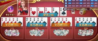 开云本地赛事动态 | Kaiyun中国体育新闻